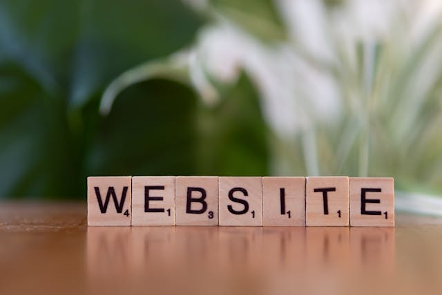 What Is SEO for Business and Why It Matters