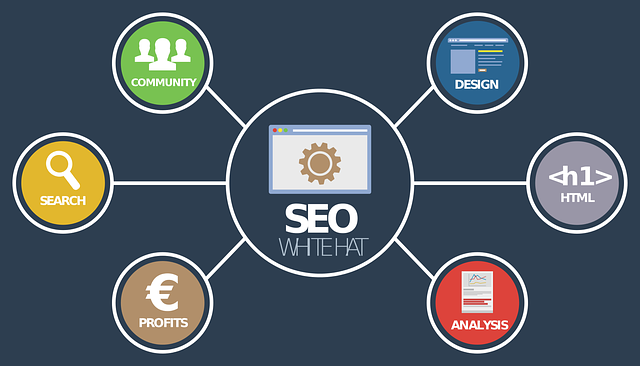 SEO Content for Businesses That Drives Results